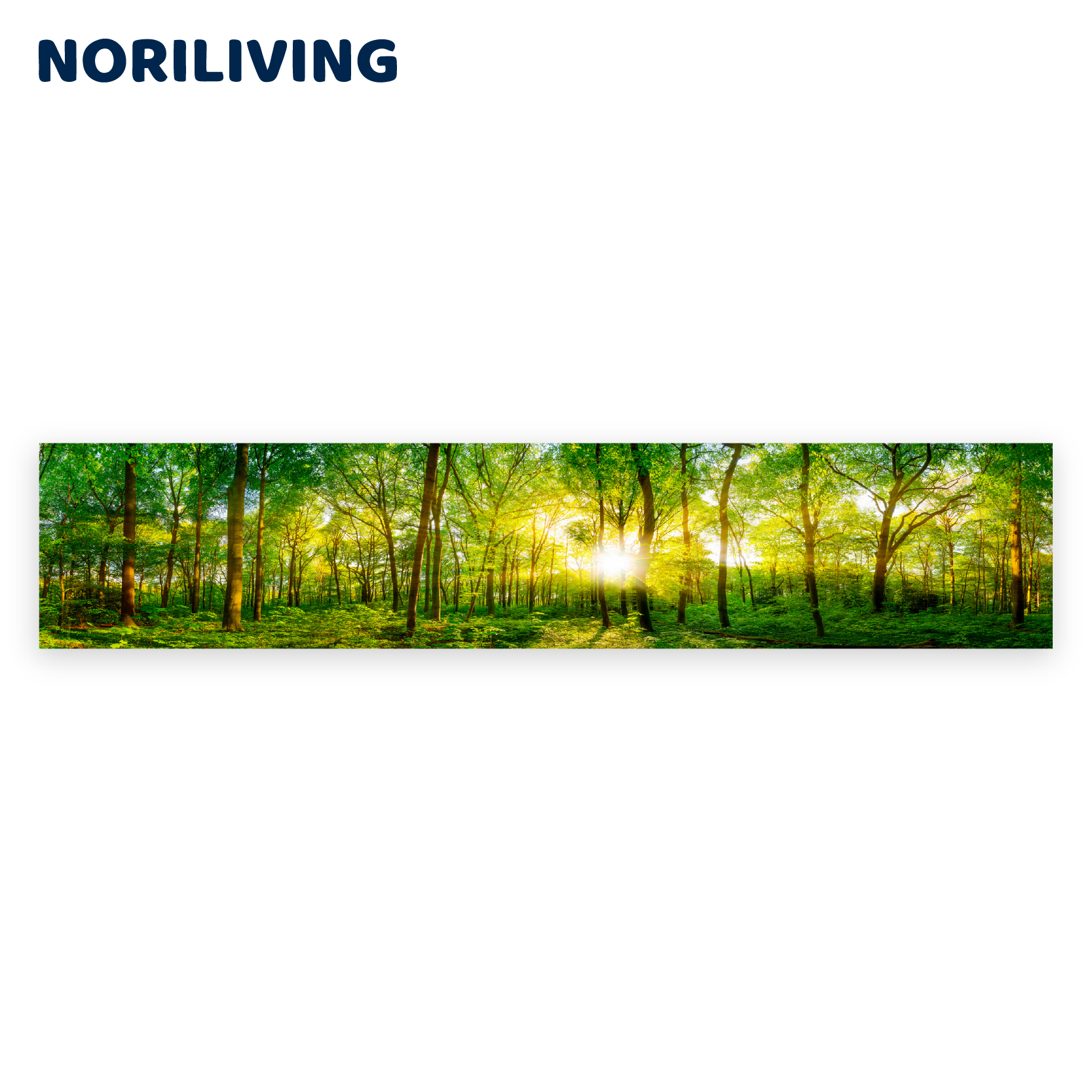 Panorama-Waldlandschaft mit Sonnenlicht im Hintergrund Breites Panorama von einem Wald bei Sonnenlicht, lebendige grüne Blätter und Bäume