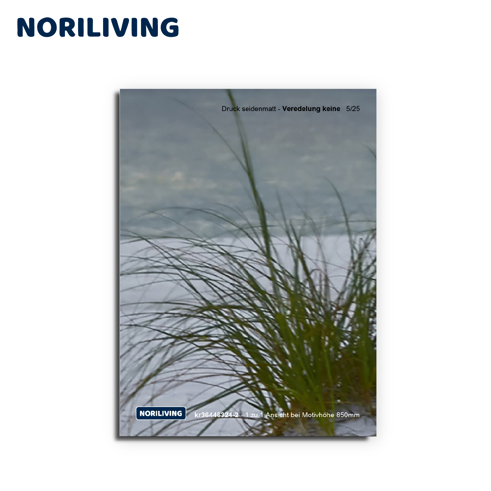 Seidenglänzendes Poster mit Gras-Motiv von NORILIVING Nahaufnahme von Gras vor unscharfem Hintergrund auf einem seidenglänzenden Poster von NORILIVING