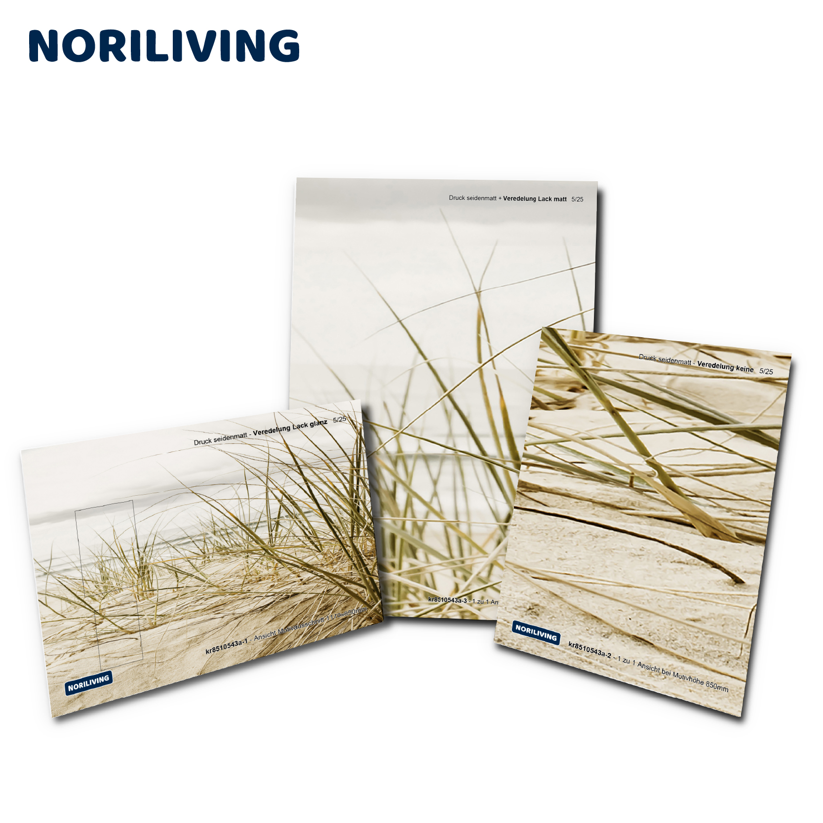 Dekorative Fotoleinwand mit Strandmotiv Drei Fotoleinwände von Noriliving mit Gräsern am Strand als Motiv