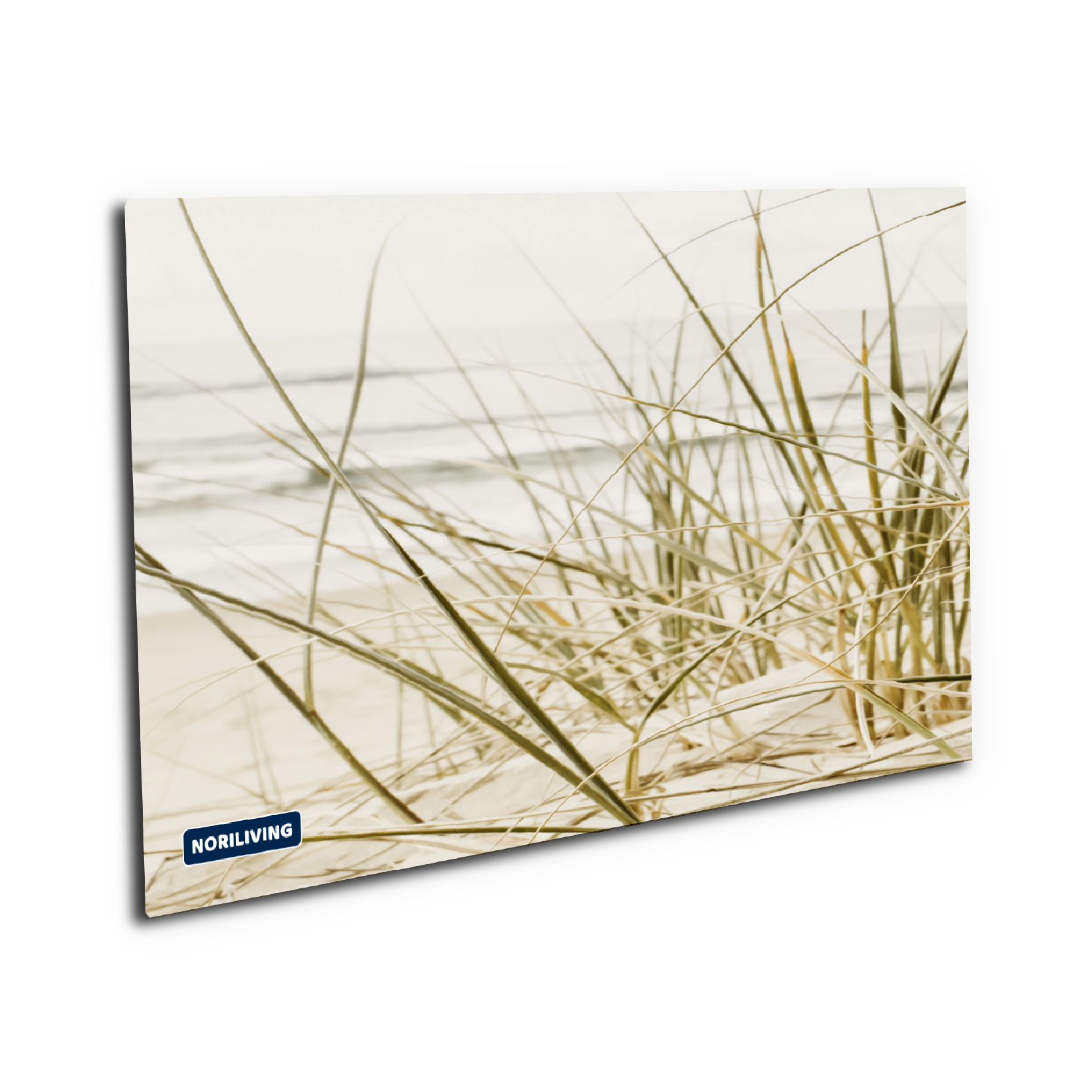Wandbild mit Strandmotiv und Dünen, hochwertiger Druck Nahaufnahme eines Strandes mit Dünengras und Meer im Hintergrund, entspannende Wanddekoration