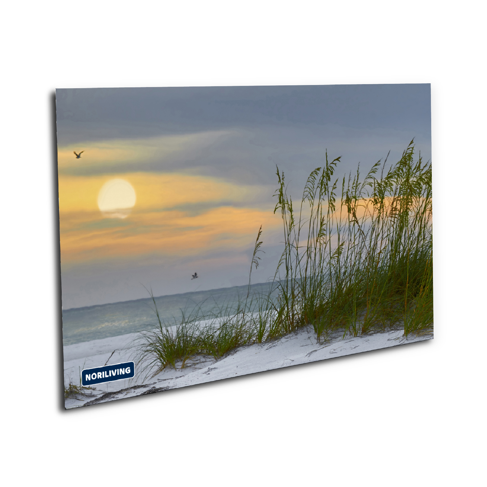 Landschaftsbild mit Sonnenuntergang am Strand Strandlandschaft mit Sonnenuntergang, Meer, Vögeln und Gräsern im Vordergrund auf Leinwand