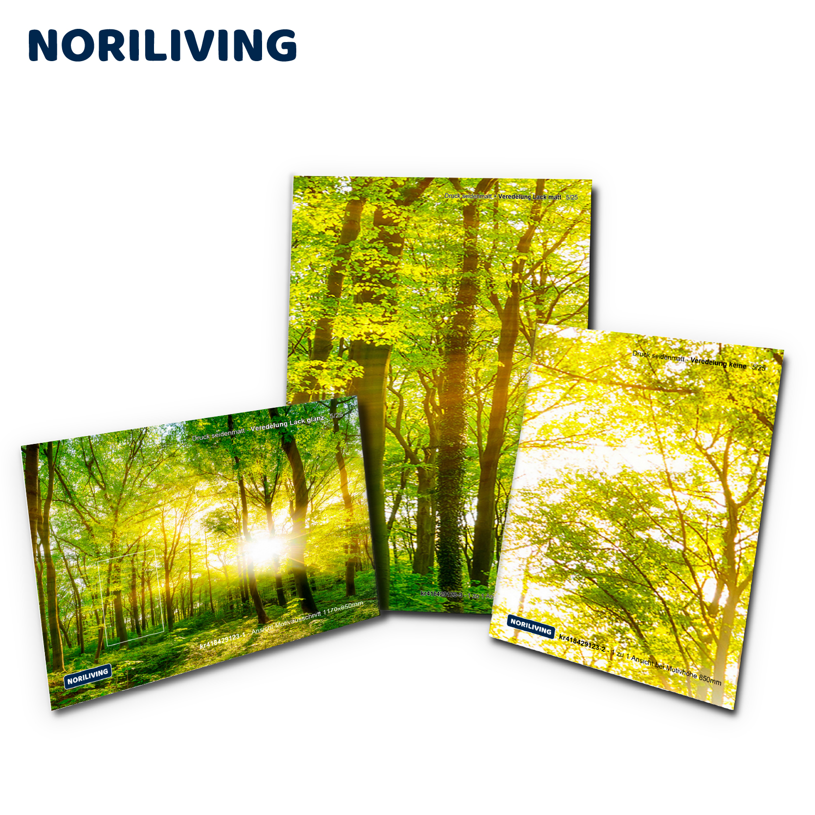 Dekorative Leinwandbilder von Waldbäumen im Sonnenlicht Drei Leinwandbilder mit Motiven von sonnendurchfluteten Waldbäumen, erhältlich bei Noriliving.
