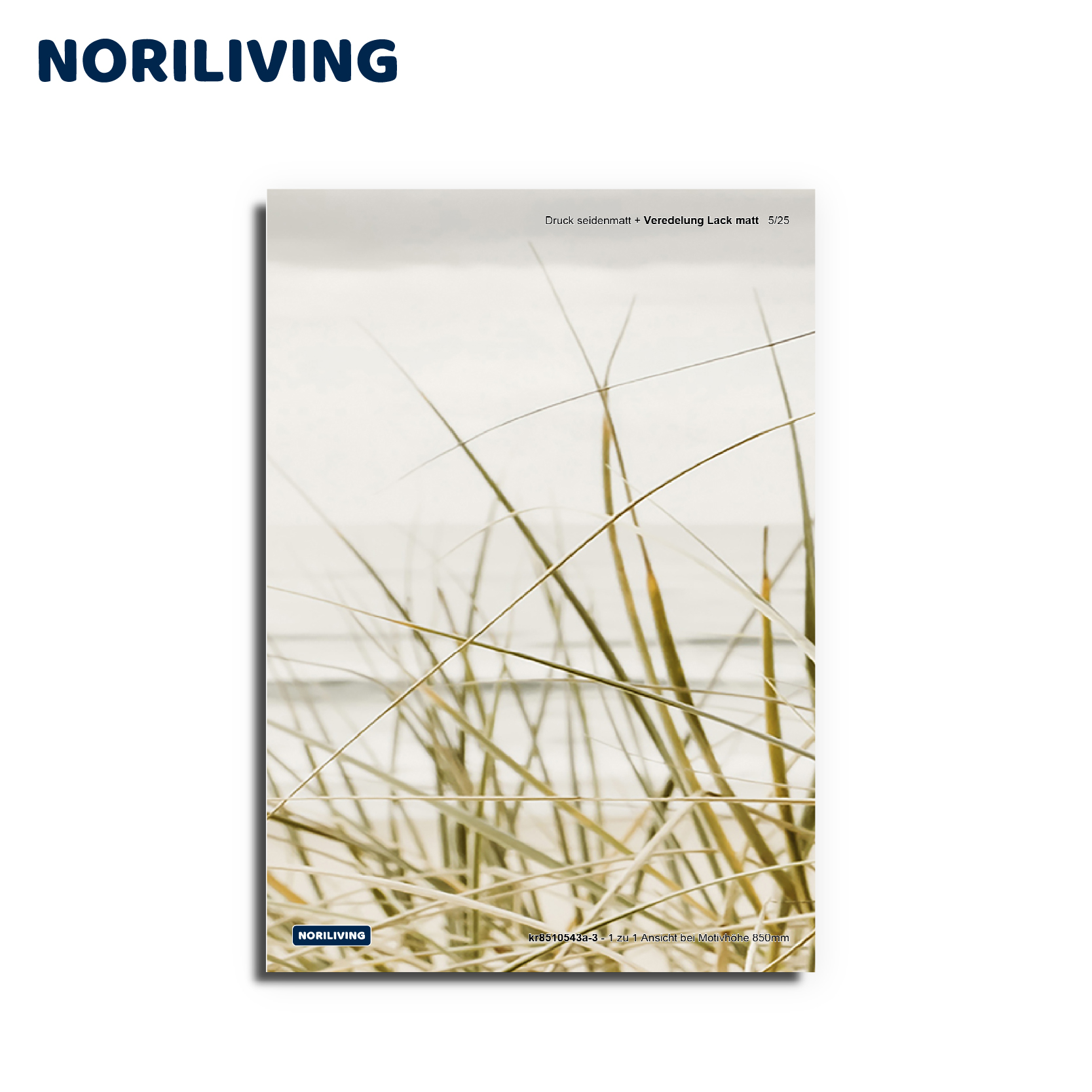 Seidenmatter Druck mit Mattlack von NORILIVING Poster mit seidenmattem Druck und Mattlack-Veredelung von NORILIVING, zeigt Gräser im Wind vor einem hellen Hintergrund