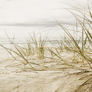 Strand mit Dünengras unter bewölktem Himmel Natürliche Strandlandschaft mit Dünengras und Meer im Hintergrund