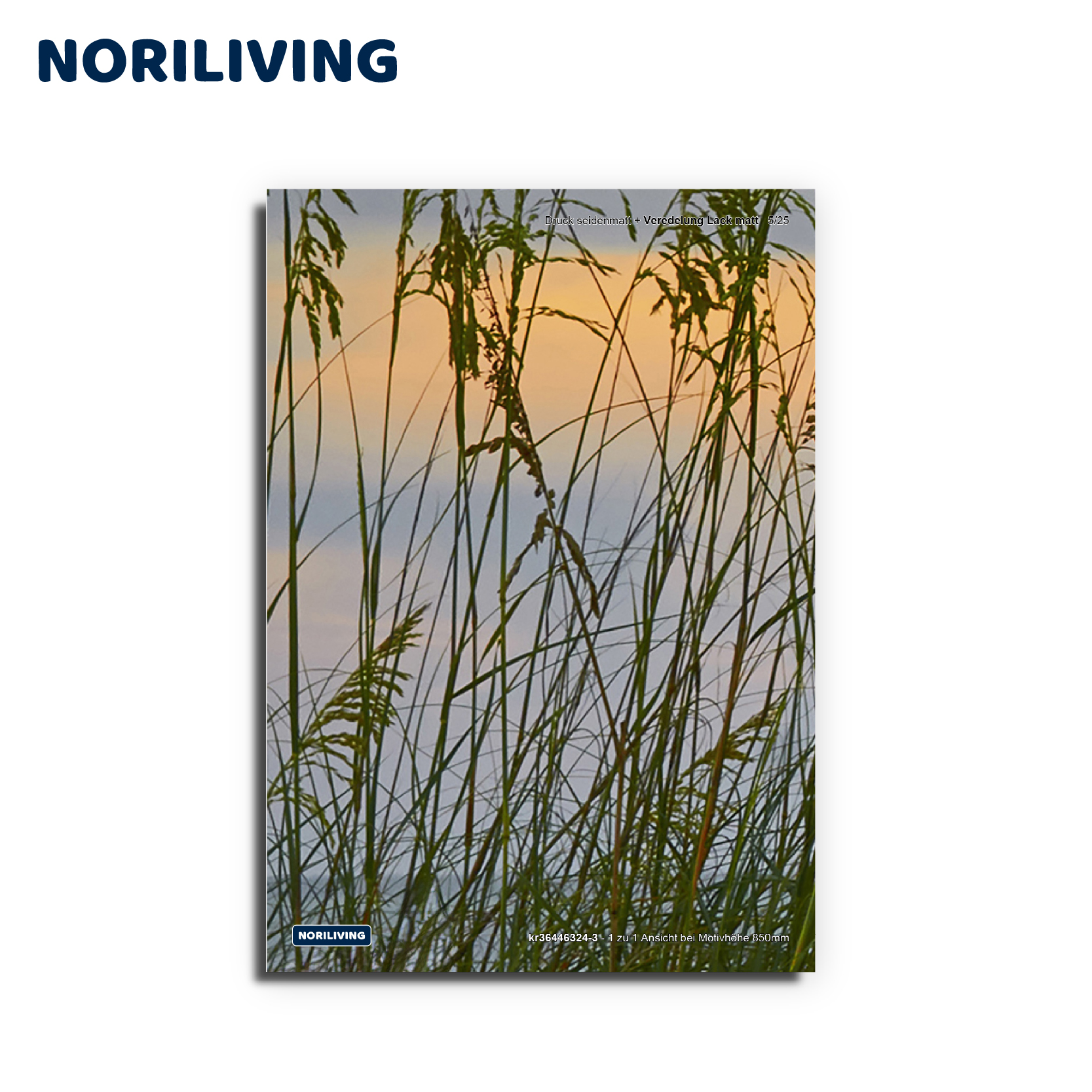 Dekorativer Kunstdruck mit Gräsern vor Sonnenuntergang Poster mit filigranen Gräsern und warmem Sonnenuntergangshimmel, ideal für Wohnzimmerdekoration