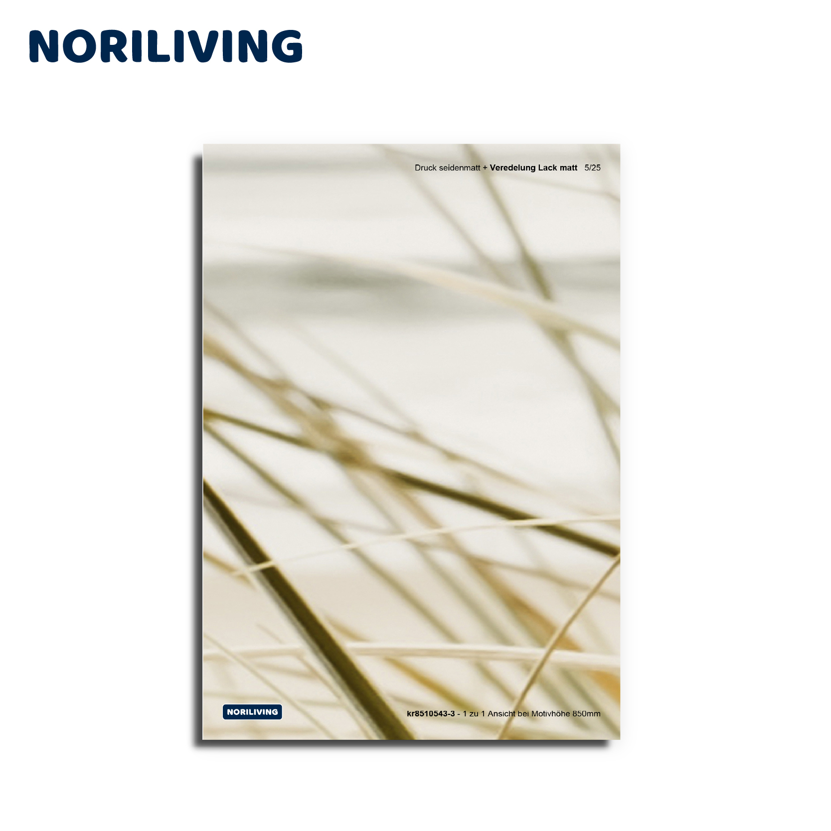 Poster mit mattem Lack und Naturmotiv von NORILIVING Nahaufnahme von Grashalmen auf einem Noriliving-Poster mit mattem Lackdesign