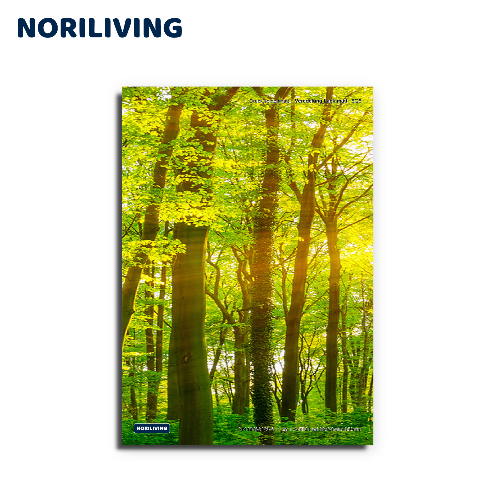 Wandbild mit strahlendem Waldmotiv für ein erfrischendes Raumgefühl Strahlender Wald mit Sonnenlicht durch die Bäume, Markenlogo NORILIVING