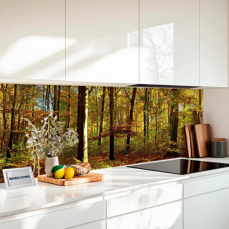 Küchenrückwand Echtglasoptik Profiline Herbstlicher Buchenwald im Sonnenlicht 316