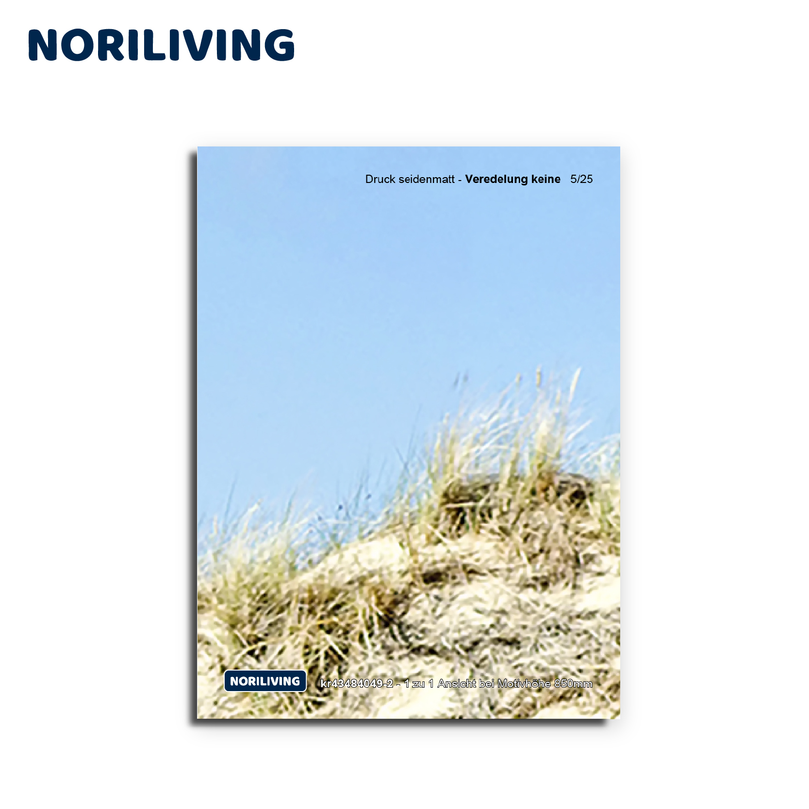 Druck seidenmatt ohne Veredelung - Sanddünenlandschaft Noriliving Druck seidenmatt mit Sanddünen und blauem Himmel