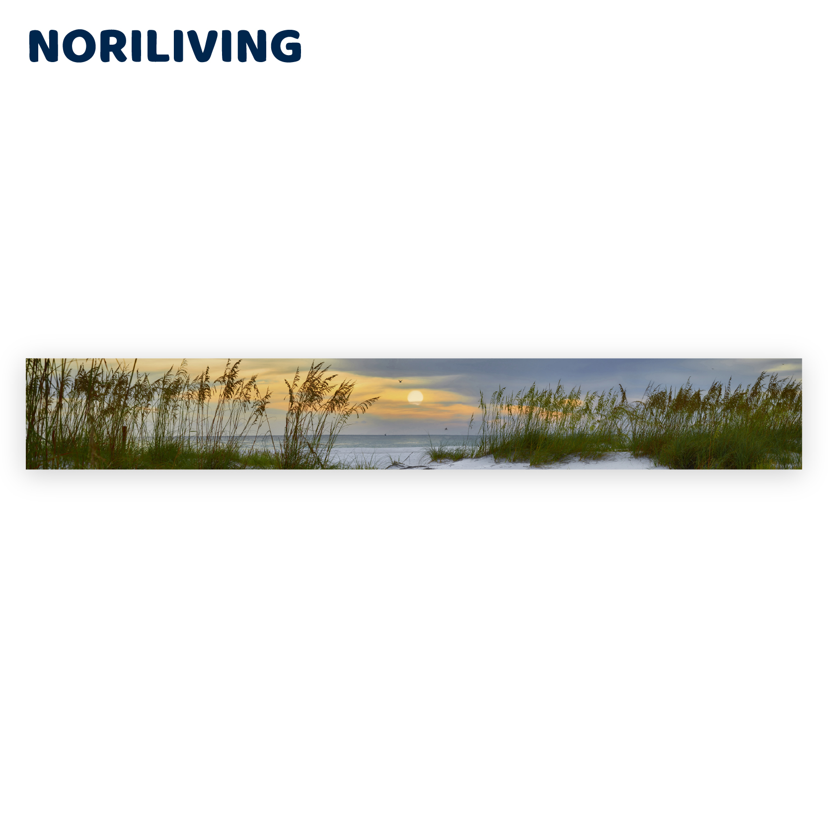 Panorama-Leinwanddruck mit Strandlandschaft bei Sonnenuntergang Panorama einer Strandlandschaft bei Sonnenuntergang mit Gras im Vordergrund und einem dramatischen Himmel