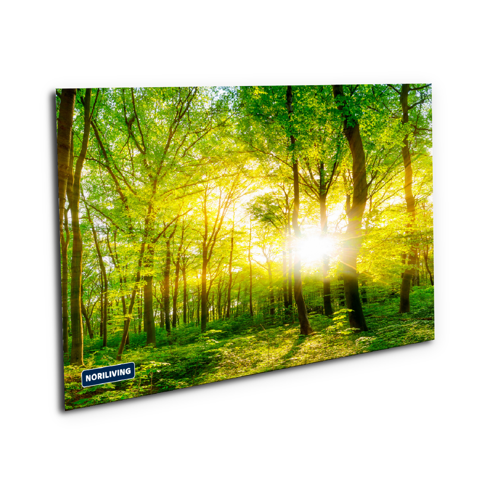 Wunderschöne Waldlandschaft bei Sonnenaufgang auf Leinwand von NoriLiving Leinwandbild einer sonnendurchfluteten Waldlandschaft, angeboten von NoriLiving